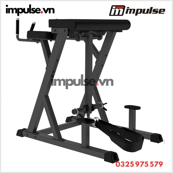 IMPULSE-IFP1619